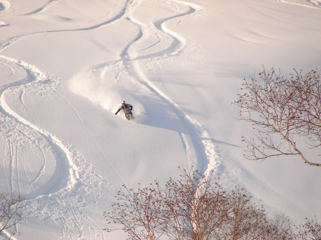 Best Ski Resorts Near Tokyo - Dig And Flow